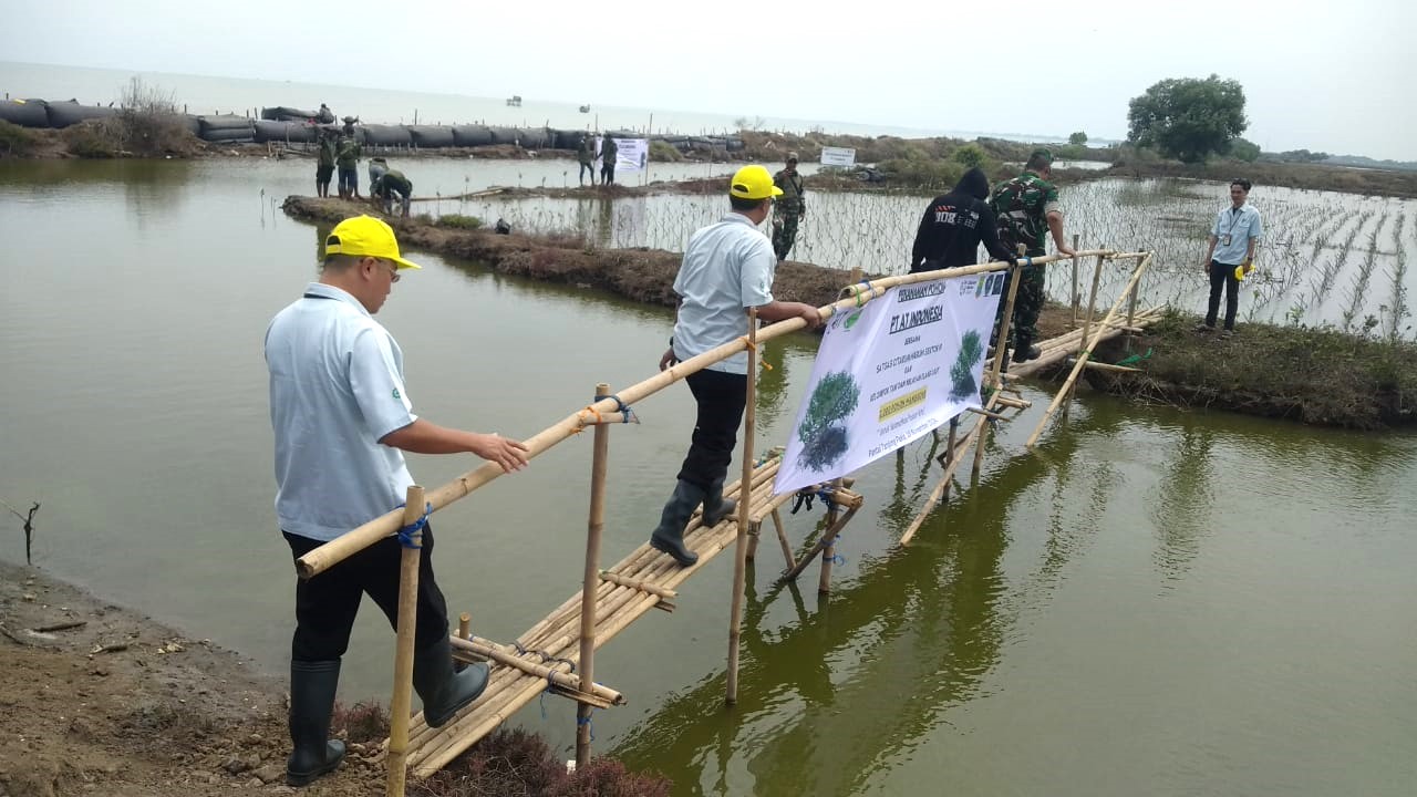 ATI FY2024 Tree planting (1) .jpeg